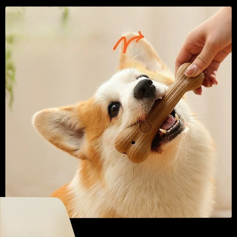 مستلزمات الحيوانات الأليفة ألعاب الكلاب عصا طحن الأسنان قرن الغزلان تنظيف الأسنان عصا الحدود كولي كيرشنر لدغة الرضاعة الذاتية ألعاب المسيل للدموع #1