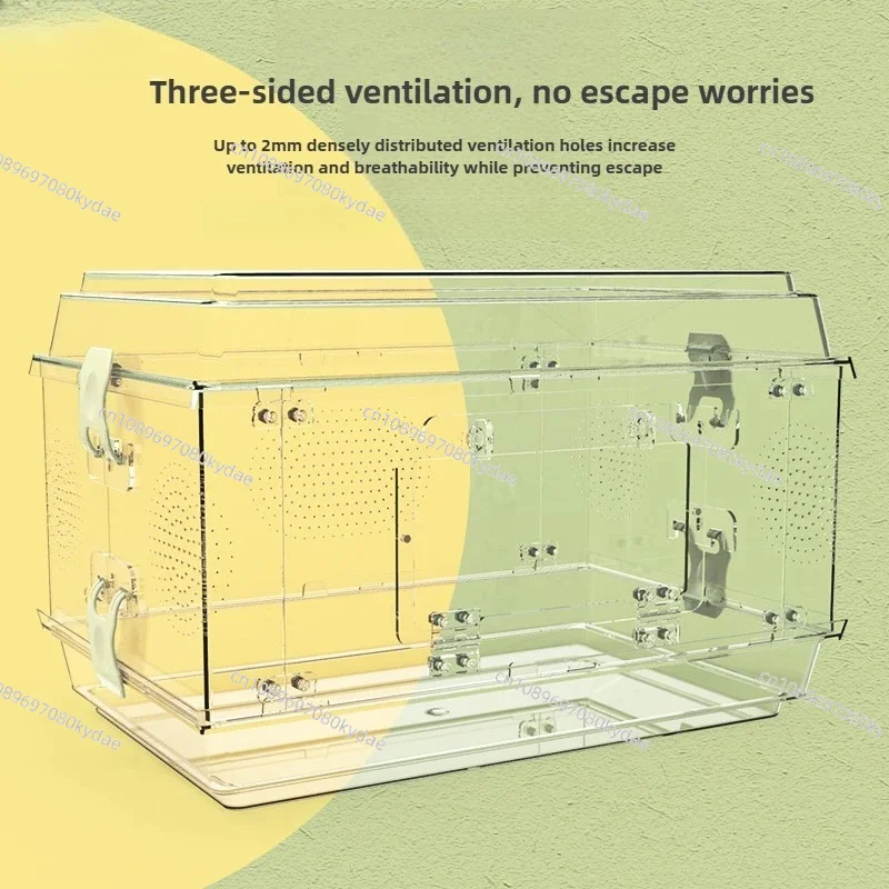 ‌Transparent Reptile Enclosure Escape-Proof Snake Terrarium Easy-Clean Acrylic Cage Panoramic View Pet Habitat view 3