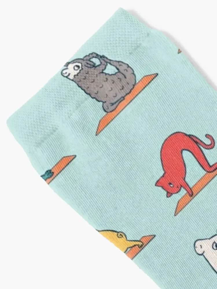 Vegan Yoga Socks funny gifts cute Socks Women's Men's