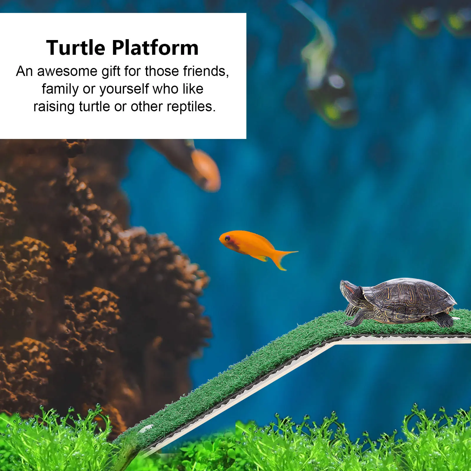 

Turtle Climbing Ladder Basking Platform For Reptile Aquarium Decor Floating Island Pp Strong Load Bearing Easy Install Pet