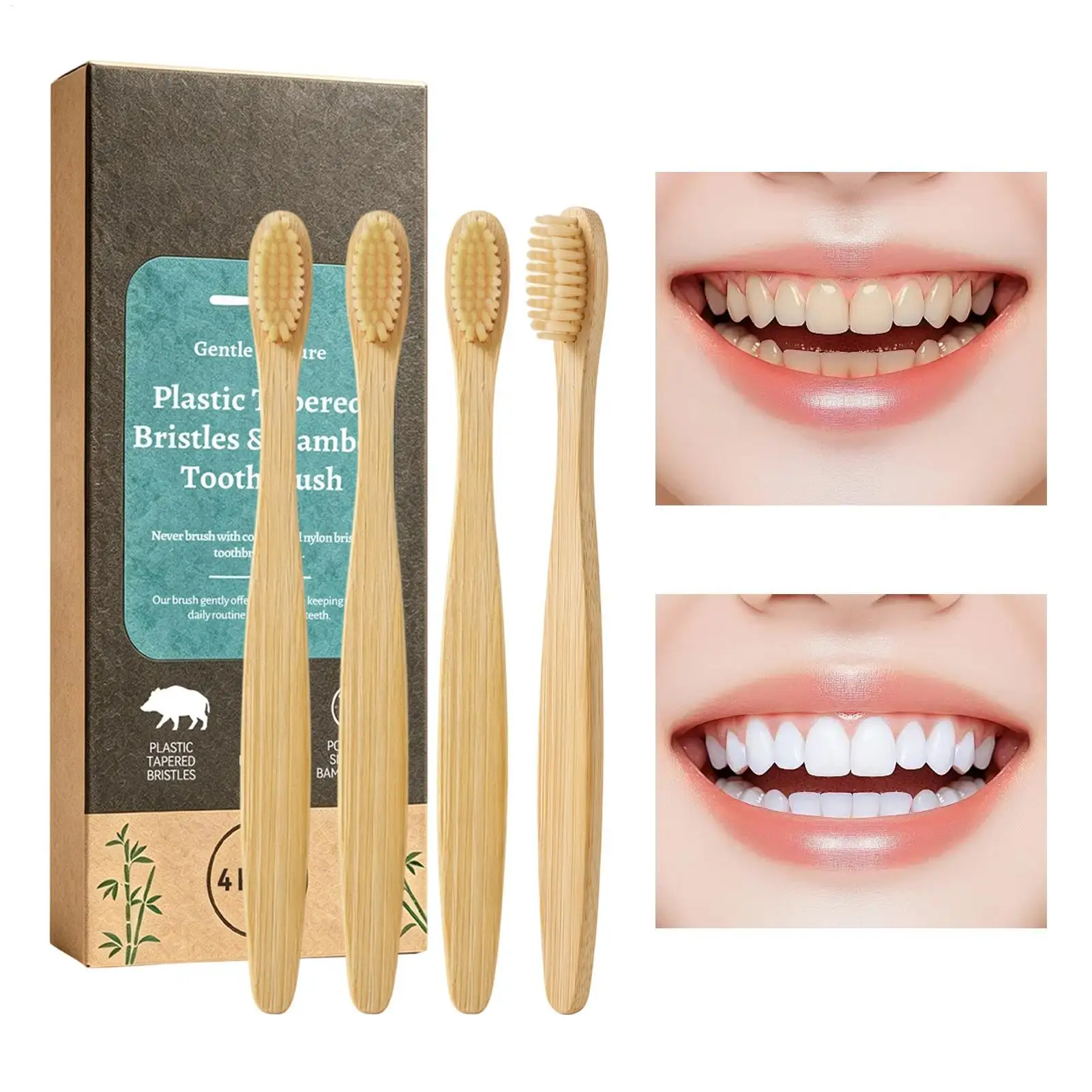 Multipack Toothbrush Set With Holder, Rounded Bristle Gum Care Deep Cleaning Brush Superficiall Dental Surface Conditioning Kit