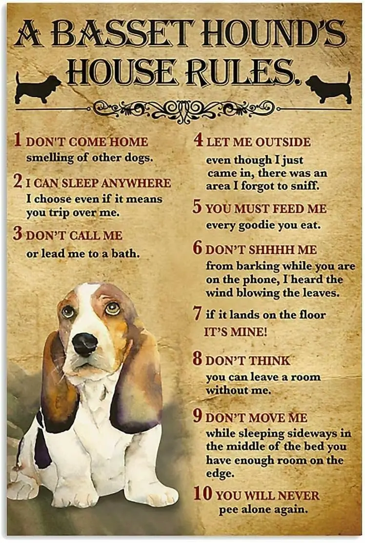 Basset Hound's House Rules Vintage Metal Tin Sign for Coffee and Bar Wall Art Decor Iron Painting 8x12 Inch sign