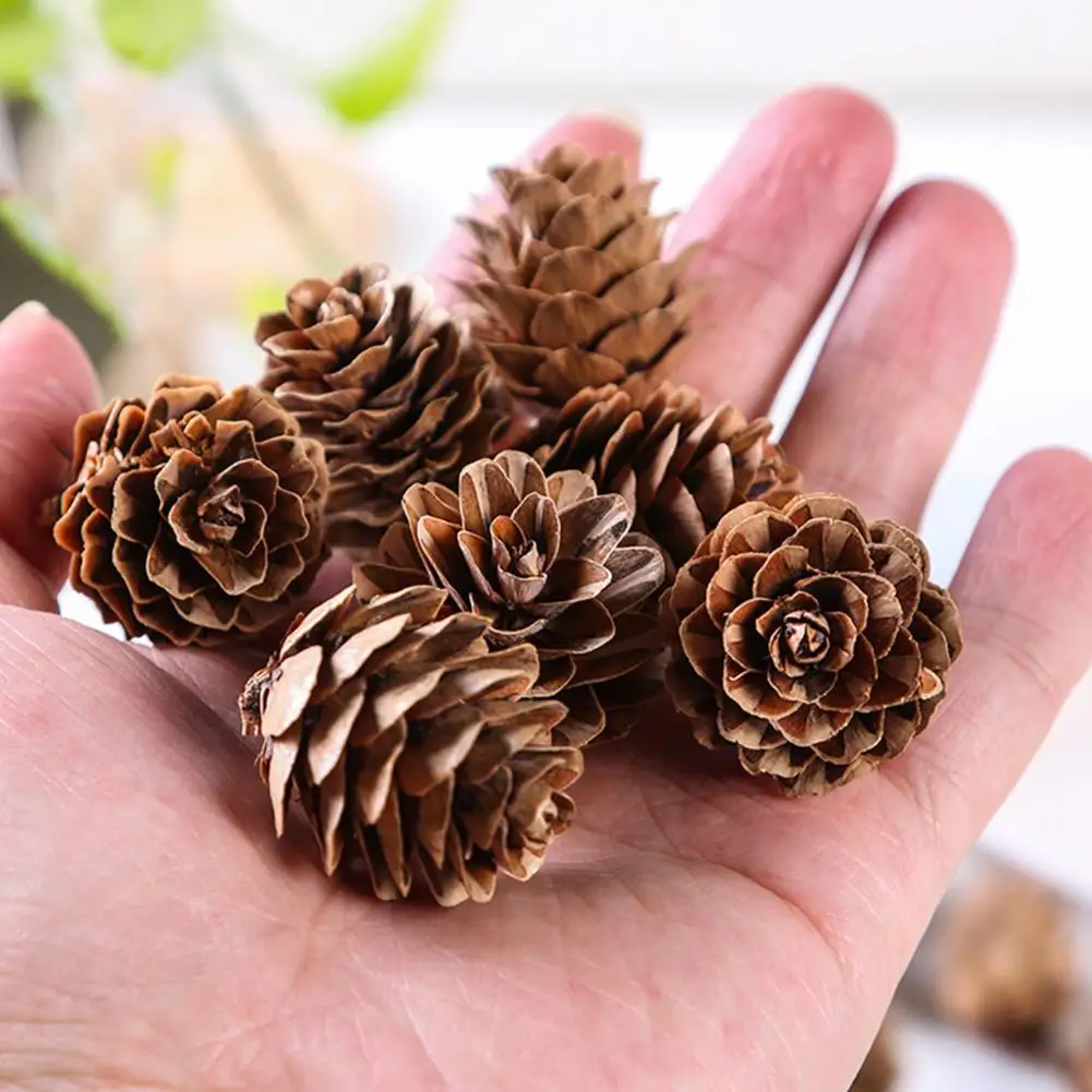 20Pcs Useful Fake Pinecone Eco-friendly Artificial Pine Cone Practical Decorative DIY Simulation Pinecone Mini