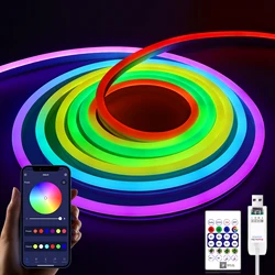 5V USB RGBIC Neon LED Strip 1M 2M 3M 5M RGBIC Neon Tape With Bluetooth App and Remote Control For Sign Neon Decoration Lighting