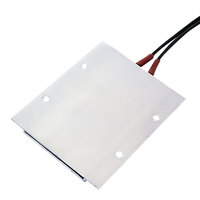 1PC Liquid Air Electric Heater Constant Temperature Ceramic 77X62X6mm PTC Heating plate 12V 24V 110V 220V 60C 70C 80C 100C-250C