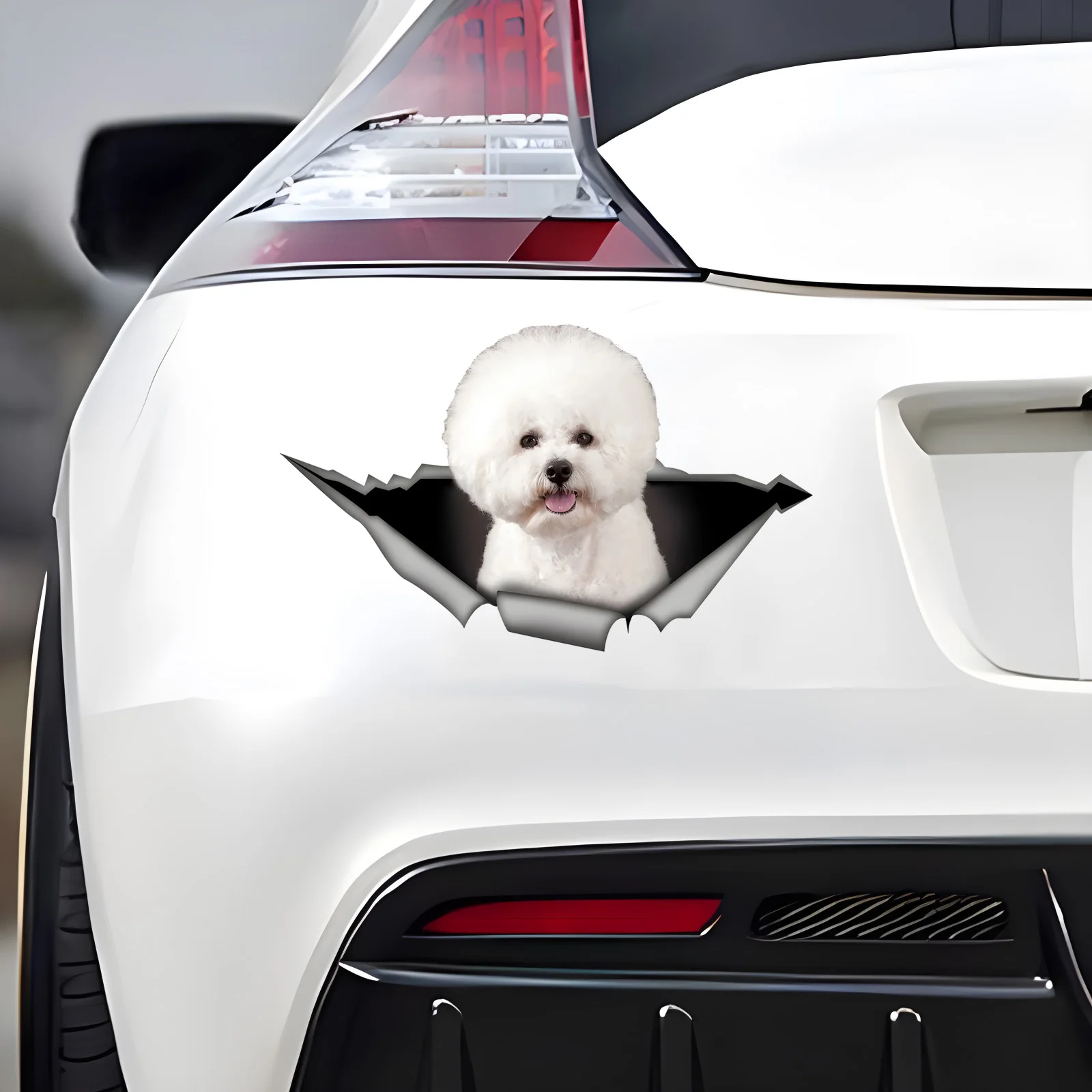 DK380# 1pc Bichon Frise Funny Car Sticker, Cute Dog in the Hole Creative Design Sticker, Suitable for Cars, Trucks, Motorcycles
