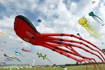 Car Paint Pen Paint…