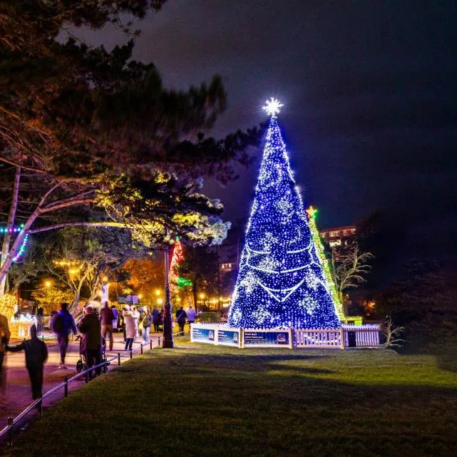 he-Christmas Decoration 6-12m Indoor Outdoor Waterproof Big LED Christmas Tree for Sale!