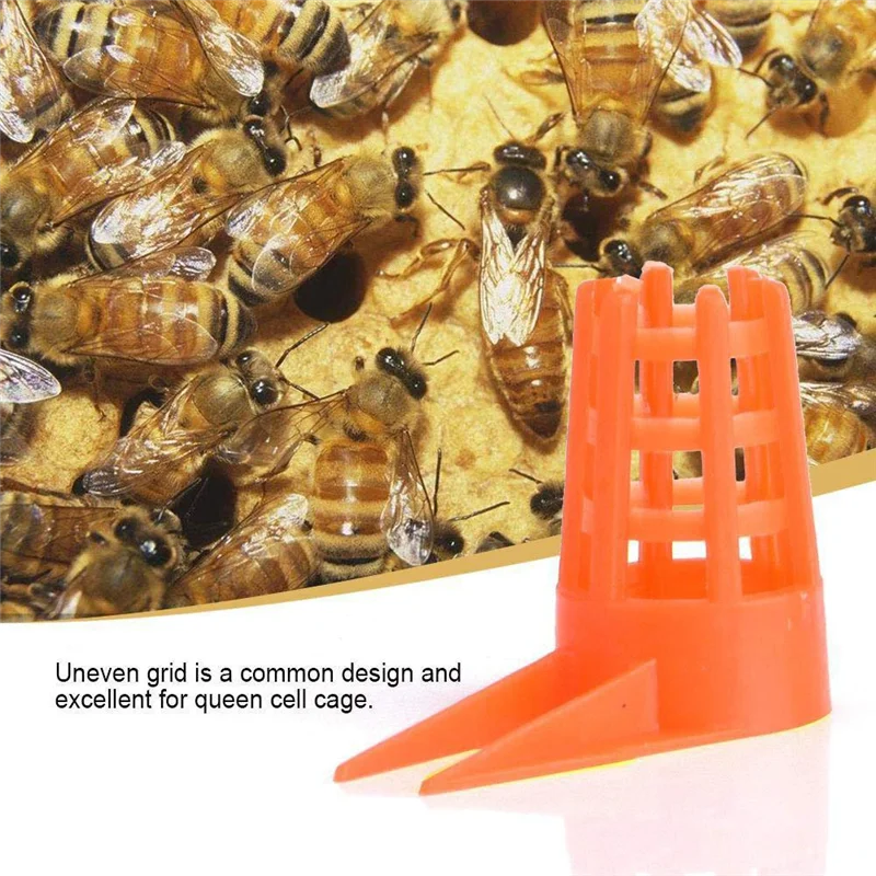ABLA-Bee Queen Cap Honey Bee Comb Push-In Queen Cell Protectors Beekeeping Queen-Bee Rearing Cage For Beekeeping Supplies