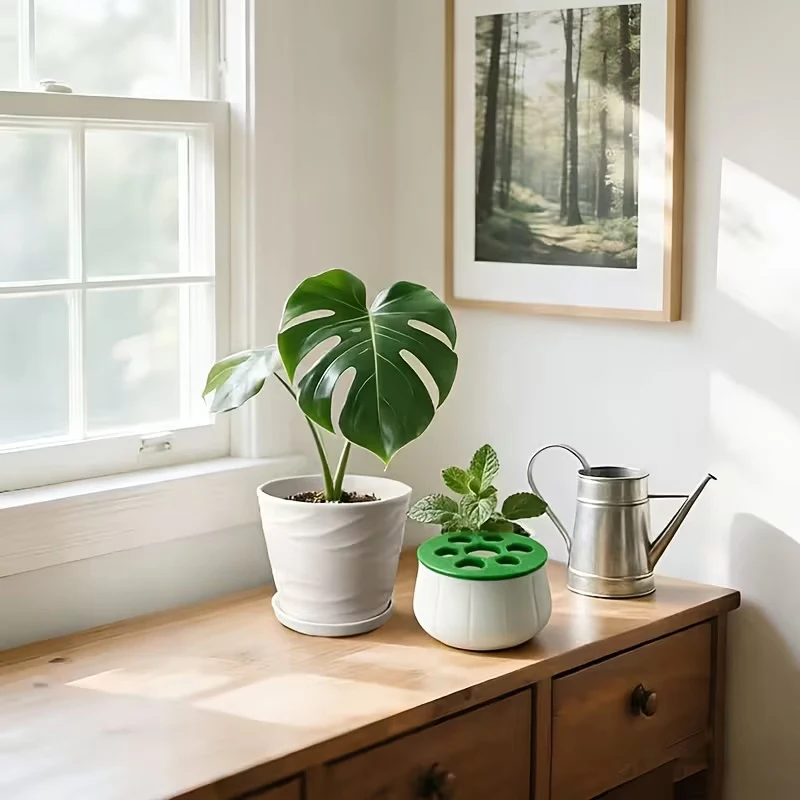 3D Printed Hydroponic Green Onion Regeneration Planter Pot Indoor Kitchen Gardening Home Garden Plant Propagation Station