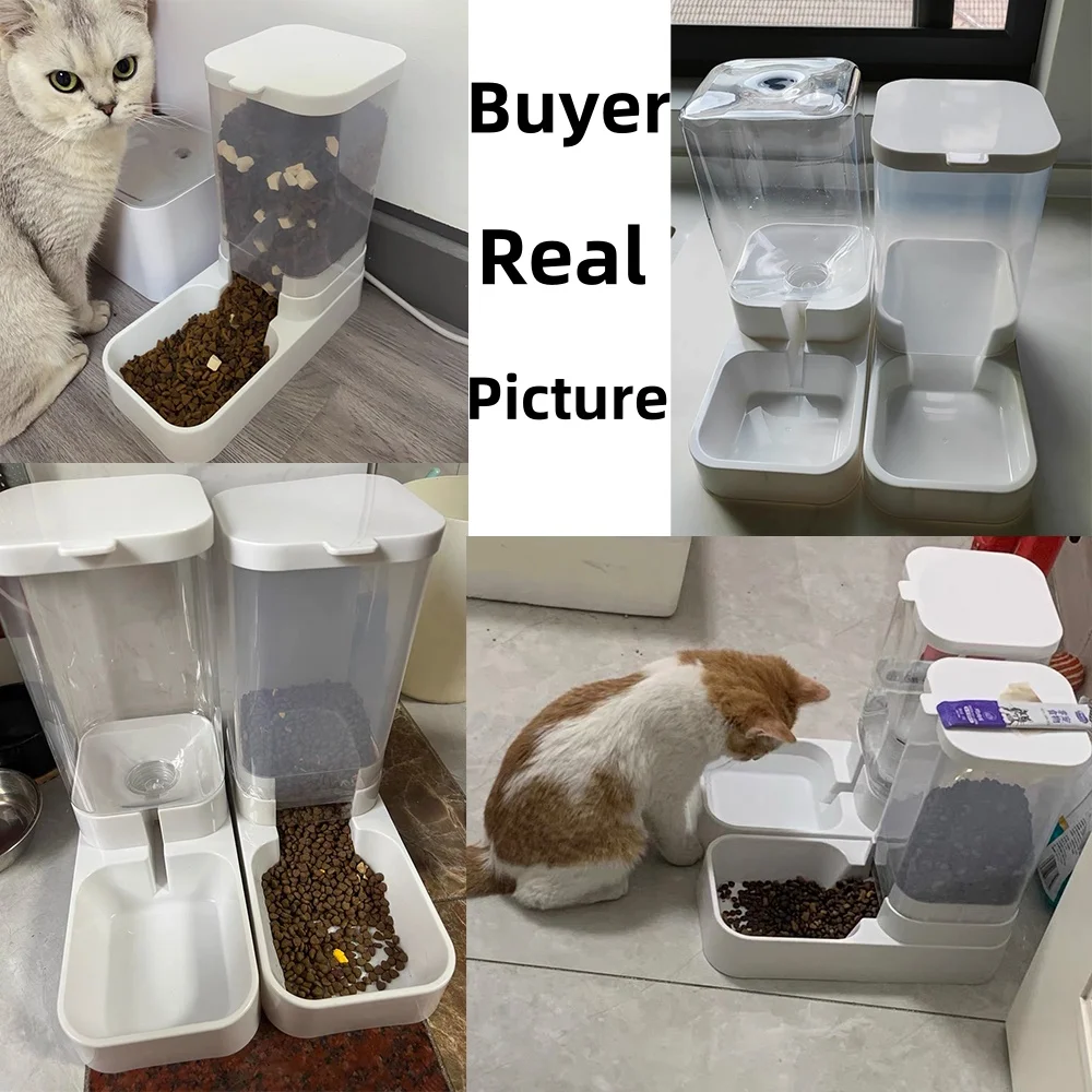 Thumbnail 2 - #31 Cheap Automatic Dog Feeders Worth Buying
