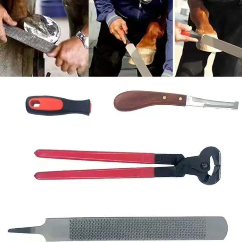 Farrier Tools-juegos de recorte de herradura de 14 pulgadas, contiene cepillo de cuchillo de pinza de caballo, cepillo profesional 4 en 1 Hor