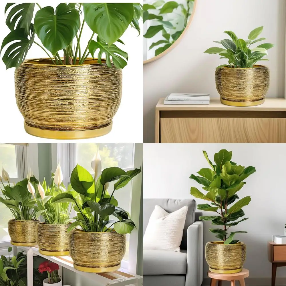 

10 Inch Modern Round Plant Pot with Drainage and Saucer, Outdoor/Indoor Decorative Flower Pot, Ideal for Apartment, Birthday Gif