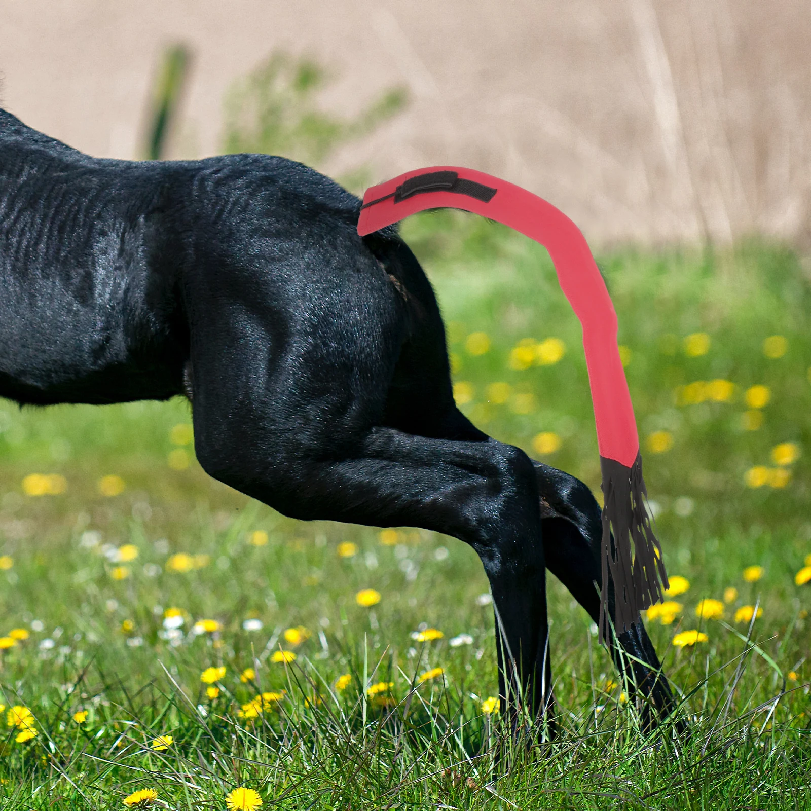 

Horse Tail Protector Soft Tail Bag Non-Woven Fabric Durable Reusable Protective Cover Horse Grooming Supplies Farm Accessory