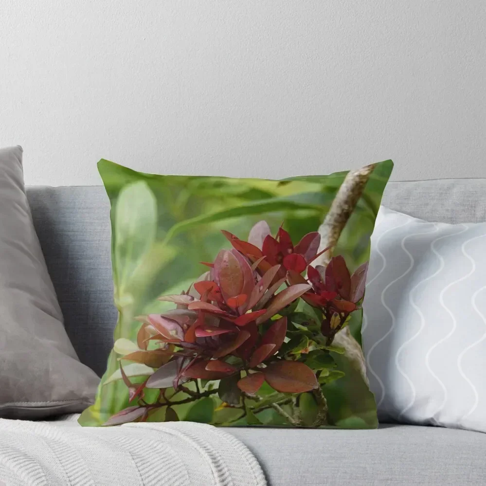 Liko Lehua Throw Pi…