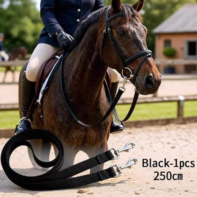 Horse Neck Stretcher Strap Set, Nylon Webbing with Clip On Metal Clips, 250 Neck Stretch Guidance Strap for Horse Work, 2 Piece