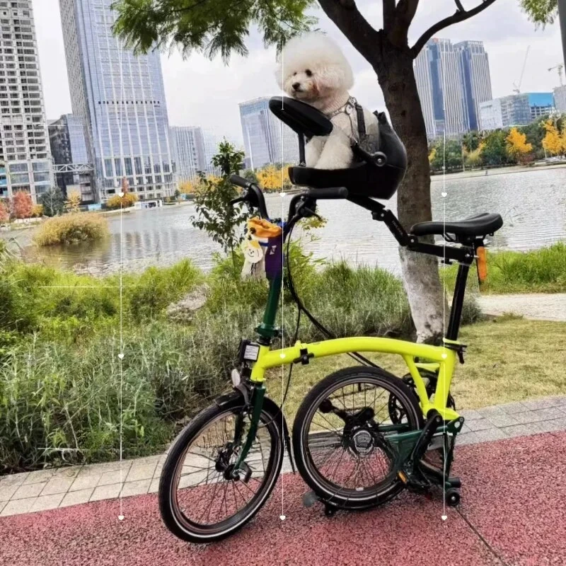 Small Dog Riding, Taking A Puppy for A Ride,Pet Bicycle Seat, Safety Seat