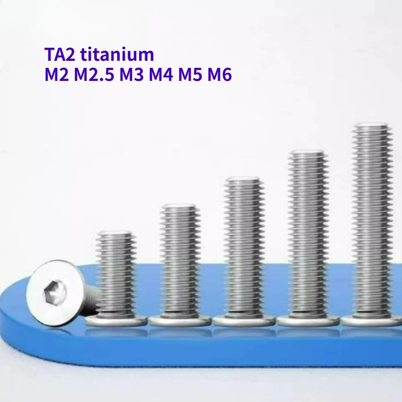 Guangluo 10/20pcs Ta2 Alloy Hex Hexagon Socket Ultra Thin Super Flat Wafer Computer Screw M2 M2.5 M3 M4 M5 M6