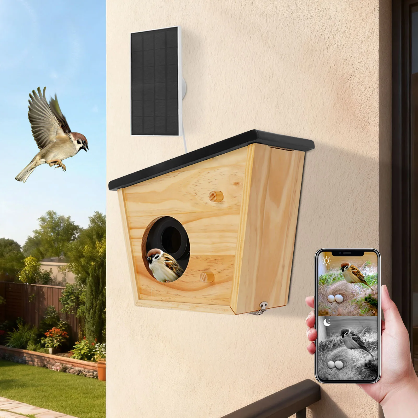 : Comedero automático para pájaros