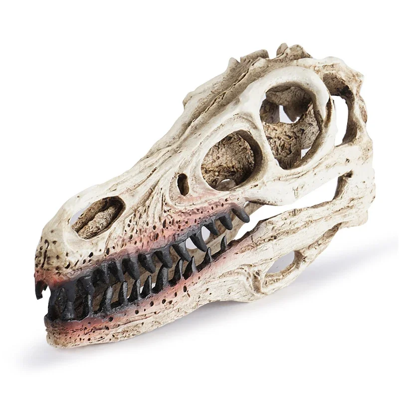 Resin Skull Velociraptor Model Dinosaur Skull Zoo Skull Specimen Display Teaching Reference Sample