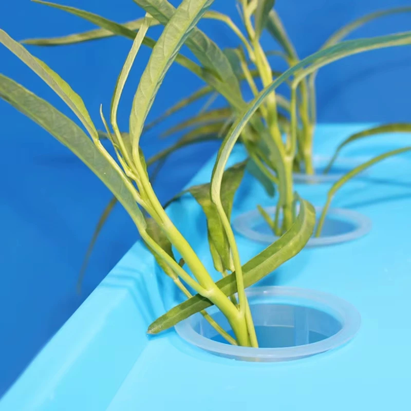 100Pcs Bodenlosen Hydrokultur Gartenpflanzen Werkzeuge Gepflanzt Schwamm Gemüse Anbau System Kindergarten Samen Pflanzung Tabletts Schwamm – Detail 15