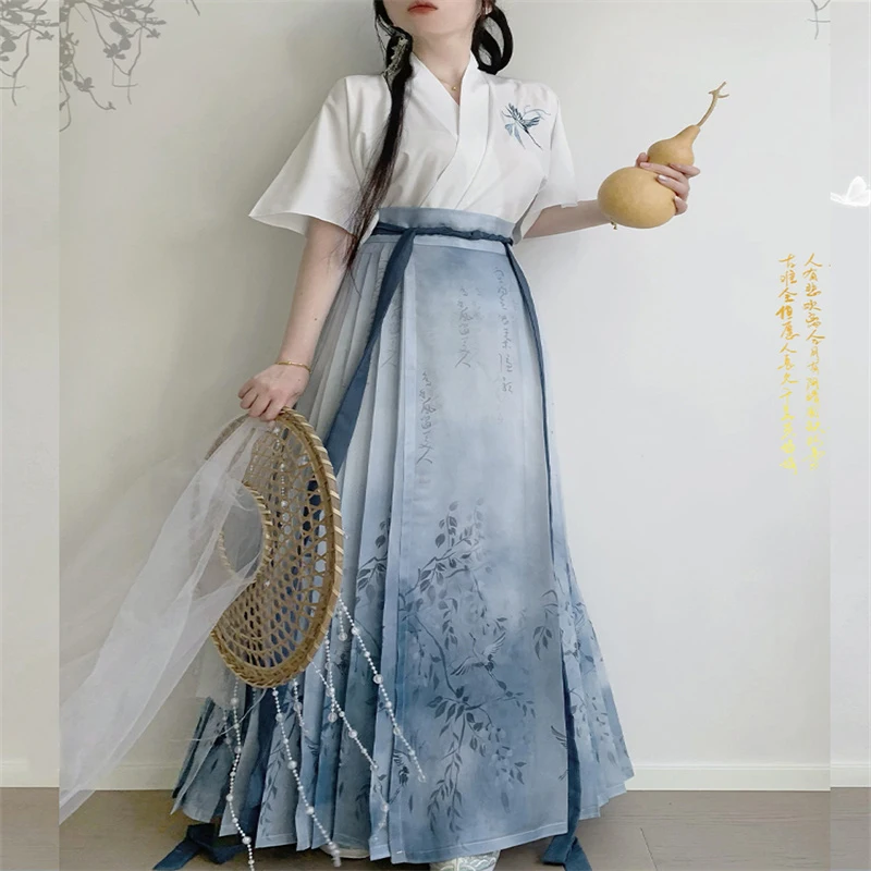 

Traditional Chinese Style Hanfu Ming Dynasty Women Embroidery Shirt Short Sleeve Tops Skirt Daily Wear Elegant Vintage Party