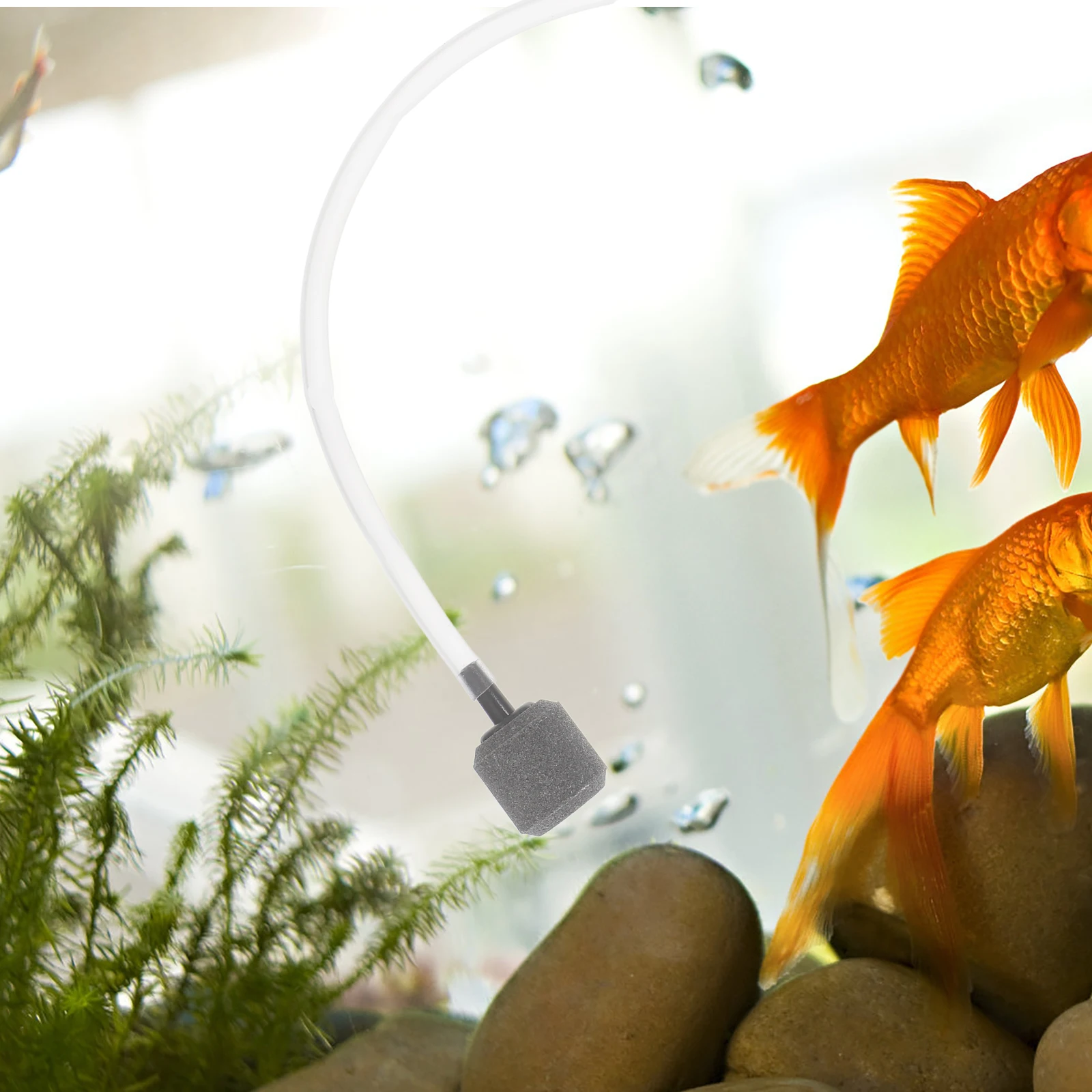 

USB Air Pump for Fish Tank Aquarium Oxygen Pumps Blue Small Portable Aerator Pond Bubbler Efficient Oxygenation