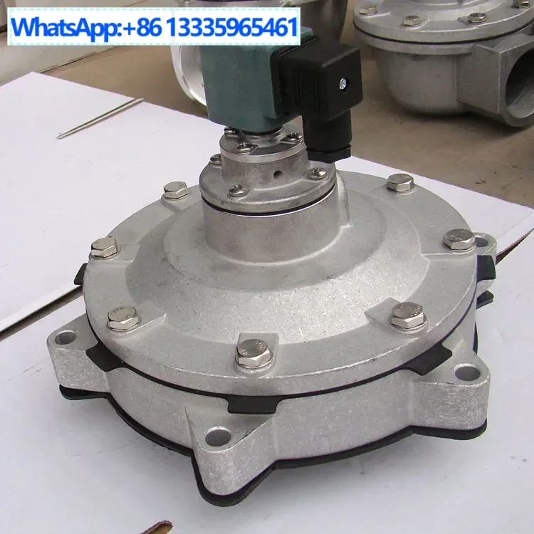 

Solenoid Pulse Valve, Submerged Pulse Solenoid Dust Removal and Injection Cleaning Electromagnetic, Pulse Valve