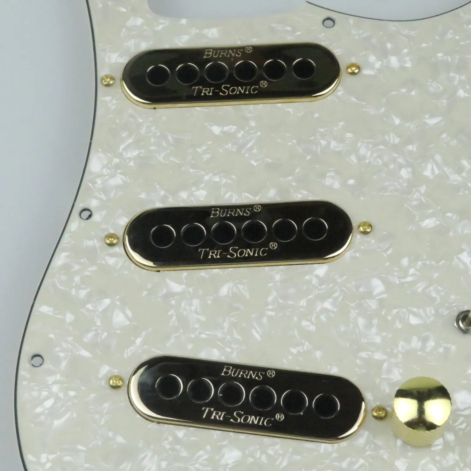 T-ri-S-onics Brian May wiring harness Loaded Pickguard Gold / Light yellow pearl For wiring harness Guitar
