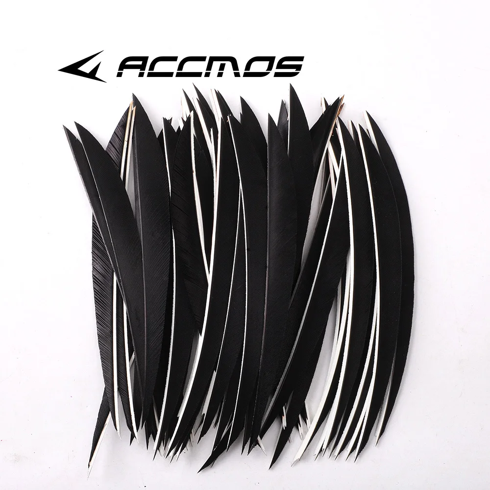 Thumbnail 2 - #12 Cheap Arrow Fletchings Worth Buying