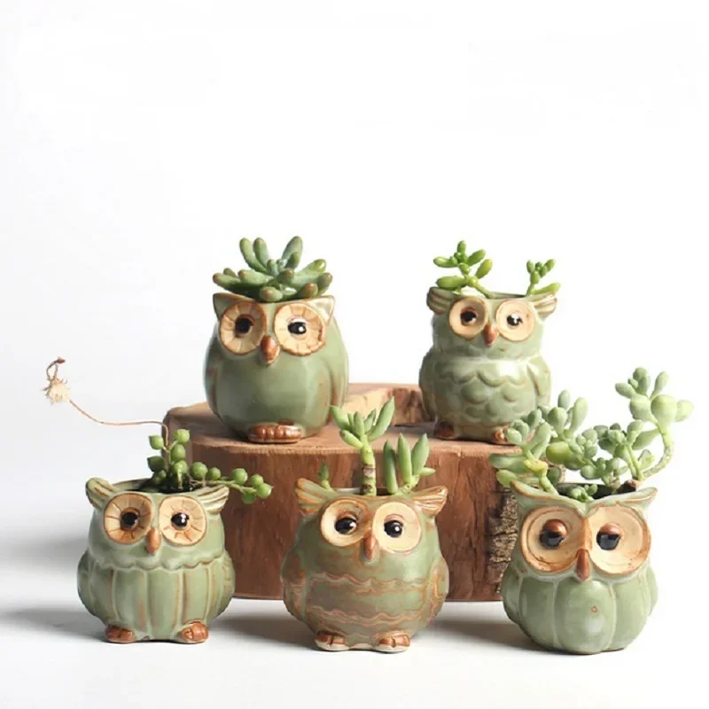 

5 Pcs/Set Ceramic Owl Shape Flower Pots New Planter Desk Pot Cute Design Succulent