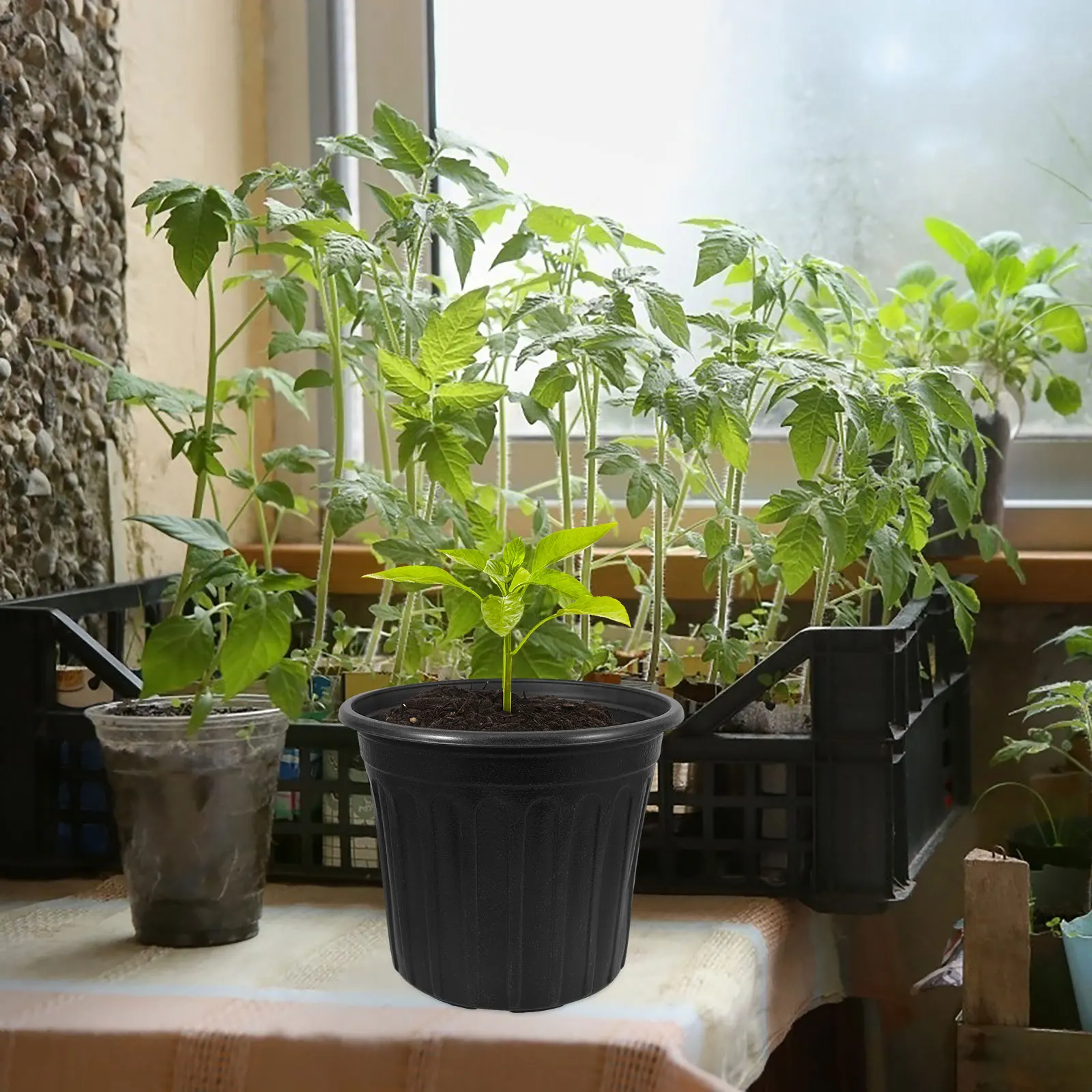 

6pcs Black Nursery Pots Thickened Plastic For Indoor Outdoor Garden Flower Succulent Bonsai Starter Growing Pot