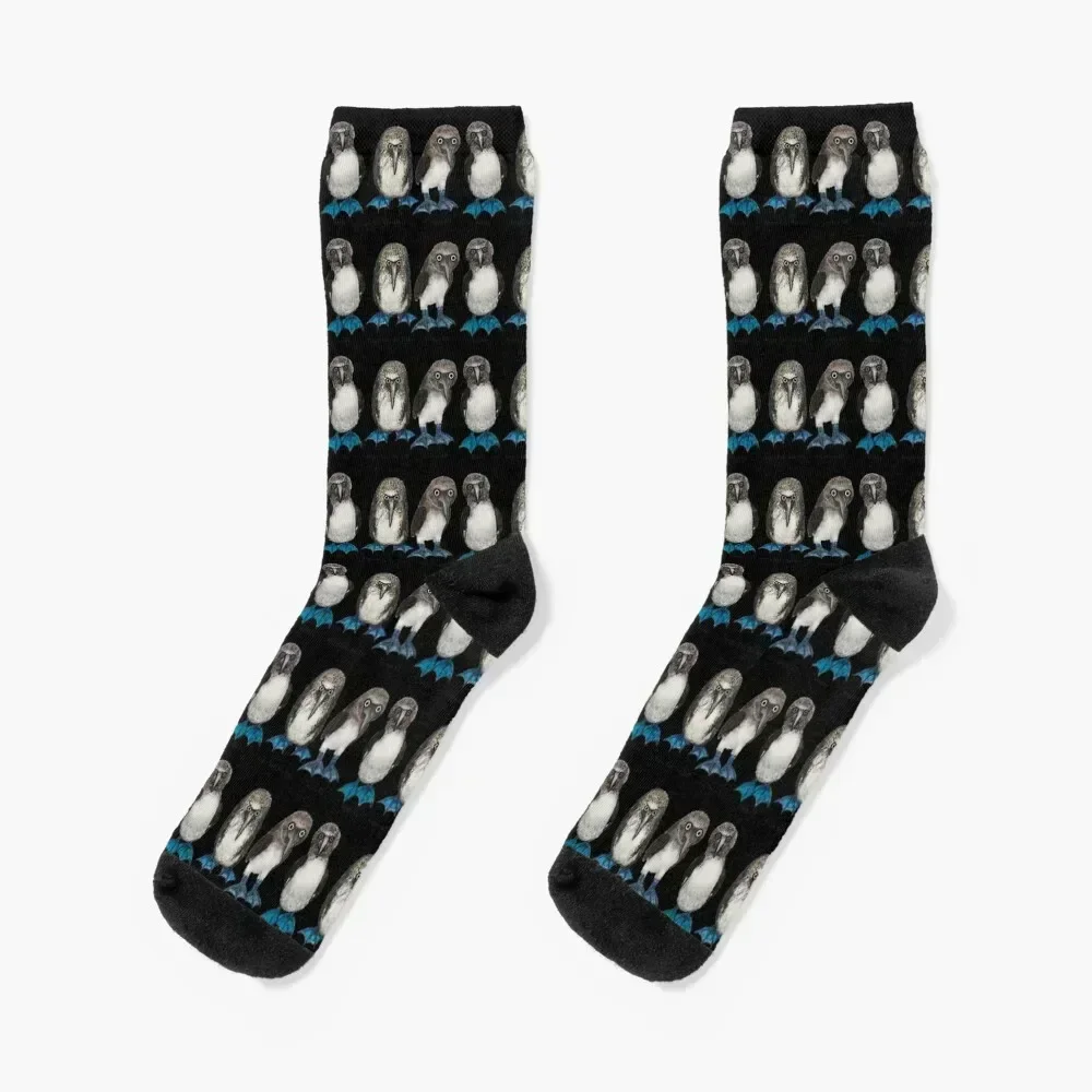 Bobby, Angry Bob the 3rd and Curious Bill the trio of Blue Footed Boobies on Blue Socks custom cotton Socks Woman Men's