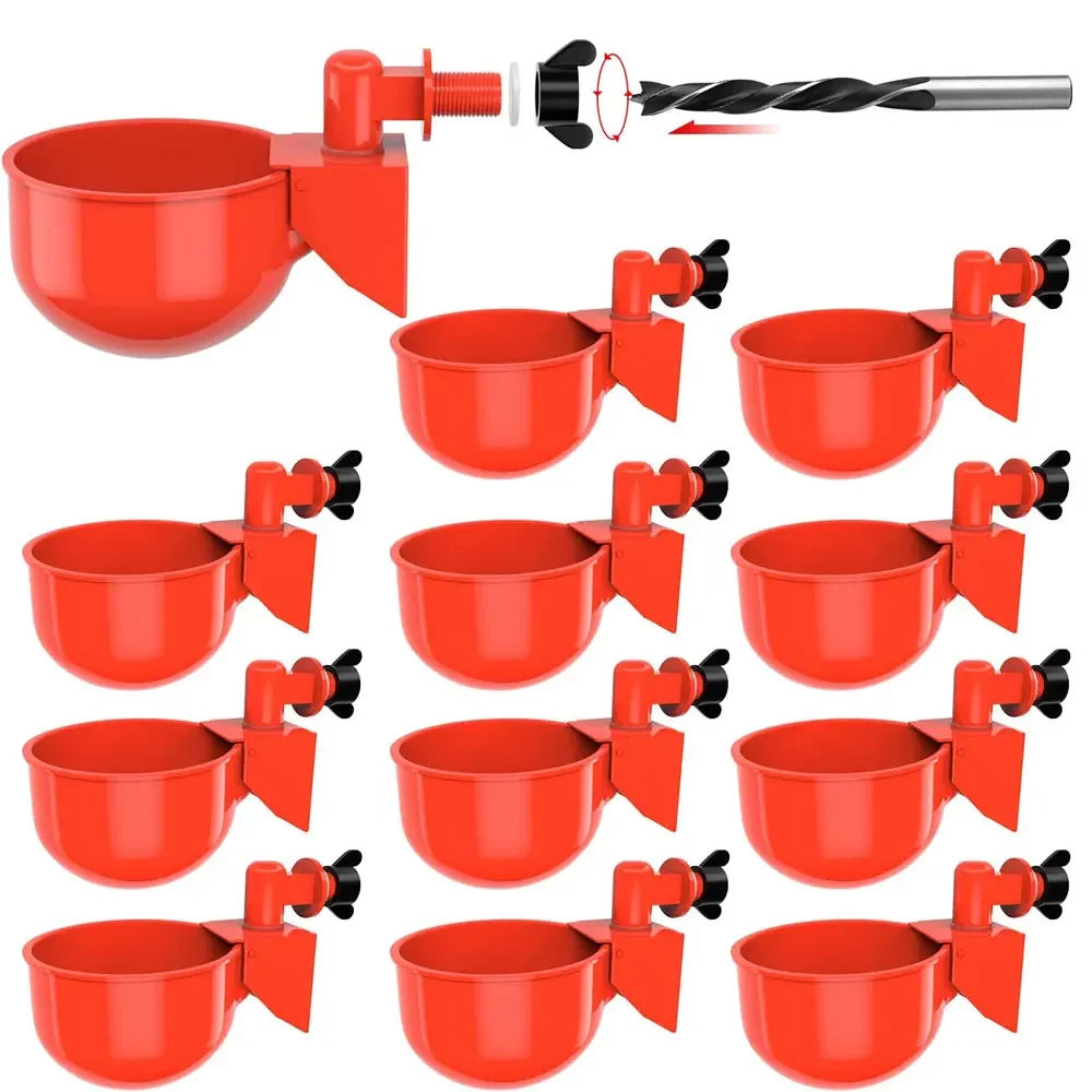 

Chicken Water Feeder Automatic Filling Waterer Poultry Drinking Bowl For Chick Ducks Birds Turkeys Etc 12pcs Large Cups