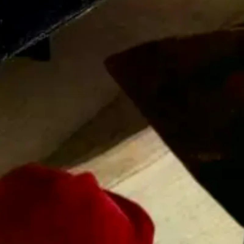 Abrazadera de tiburón triangular con flor de té de terciopelo para mujer, coleta alta, Clip fijo, accesorios elegantes para el cabello