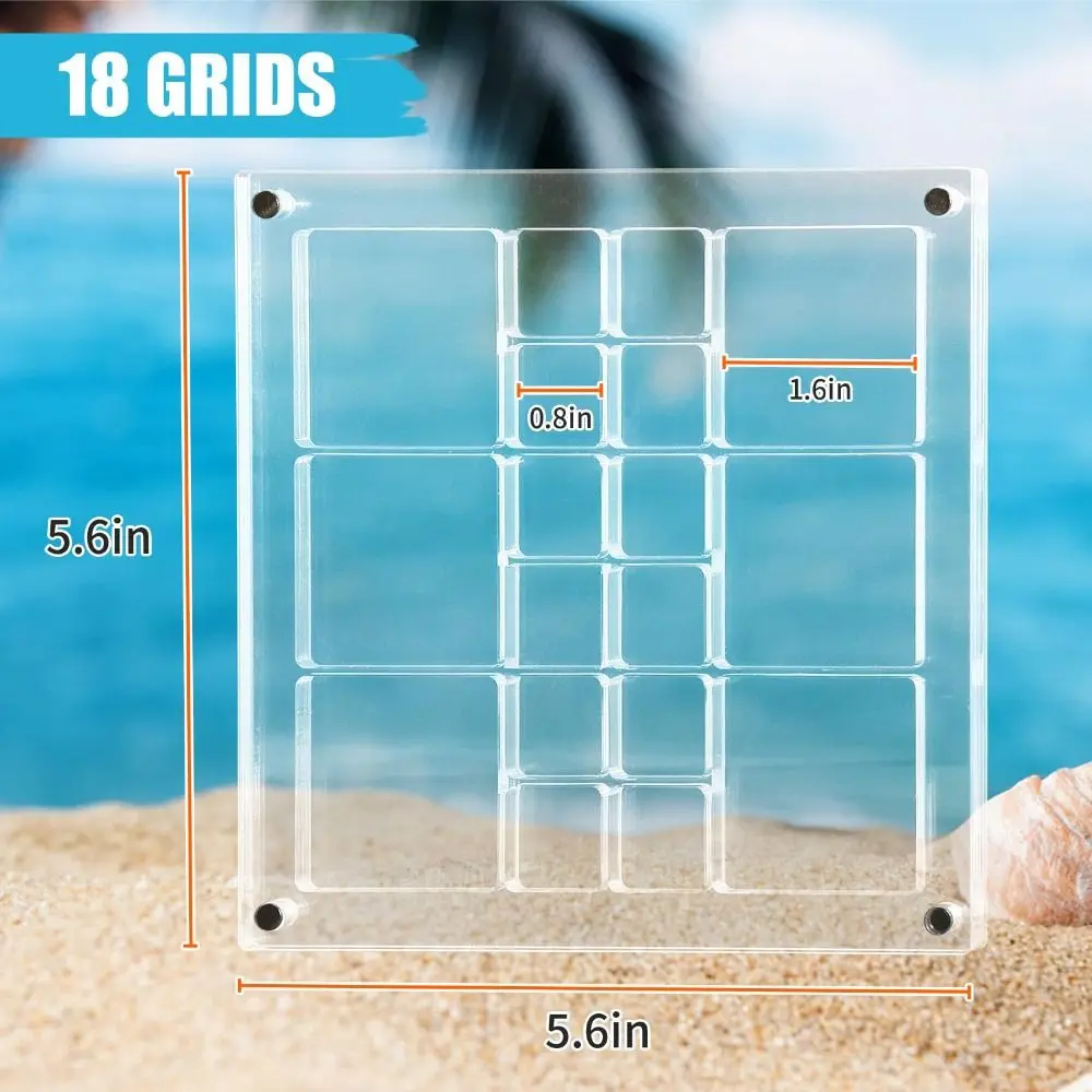 Magnetic Seashell Display Box Clear Seashell Storage Box Transparent Plastic Mini Seashell Collection Case Small Craft Organizer