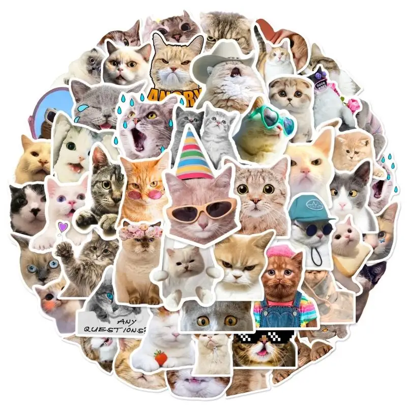 R53C 50Pcs Cartoon Kitten Sticker Removable Waterproof PVC Sticker For Journaling