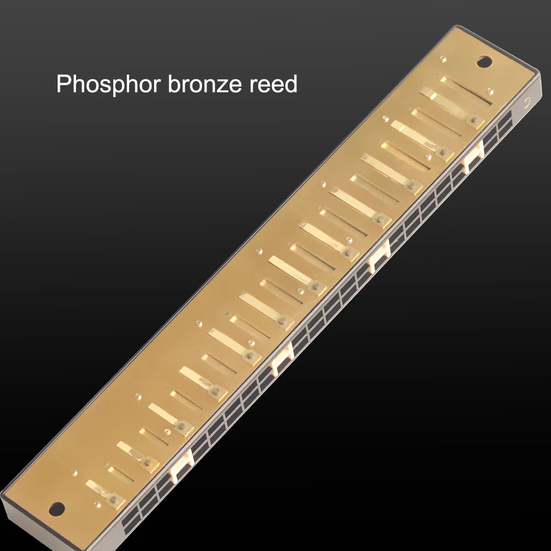 Guoguang Tremolo Harmonica 24 Hole C Mouth Organ Phosphor Bronze Blues Harp Beginner Harmonica Kit with Case for Kids - view 6