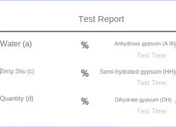 Gypsum Phase Group Analyzer Quickly Detects Gypsum Powder