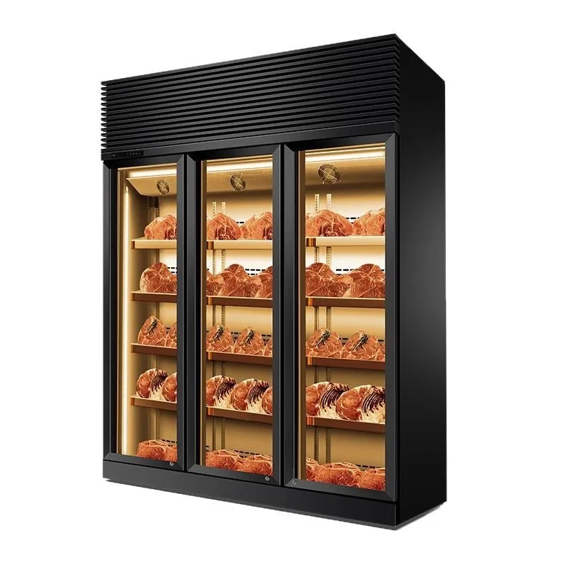 Beef jerky wet aging cabinet wine cabinet constant temperature commercial refrigerated western restaurant Wagyu frozen display c