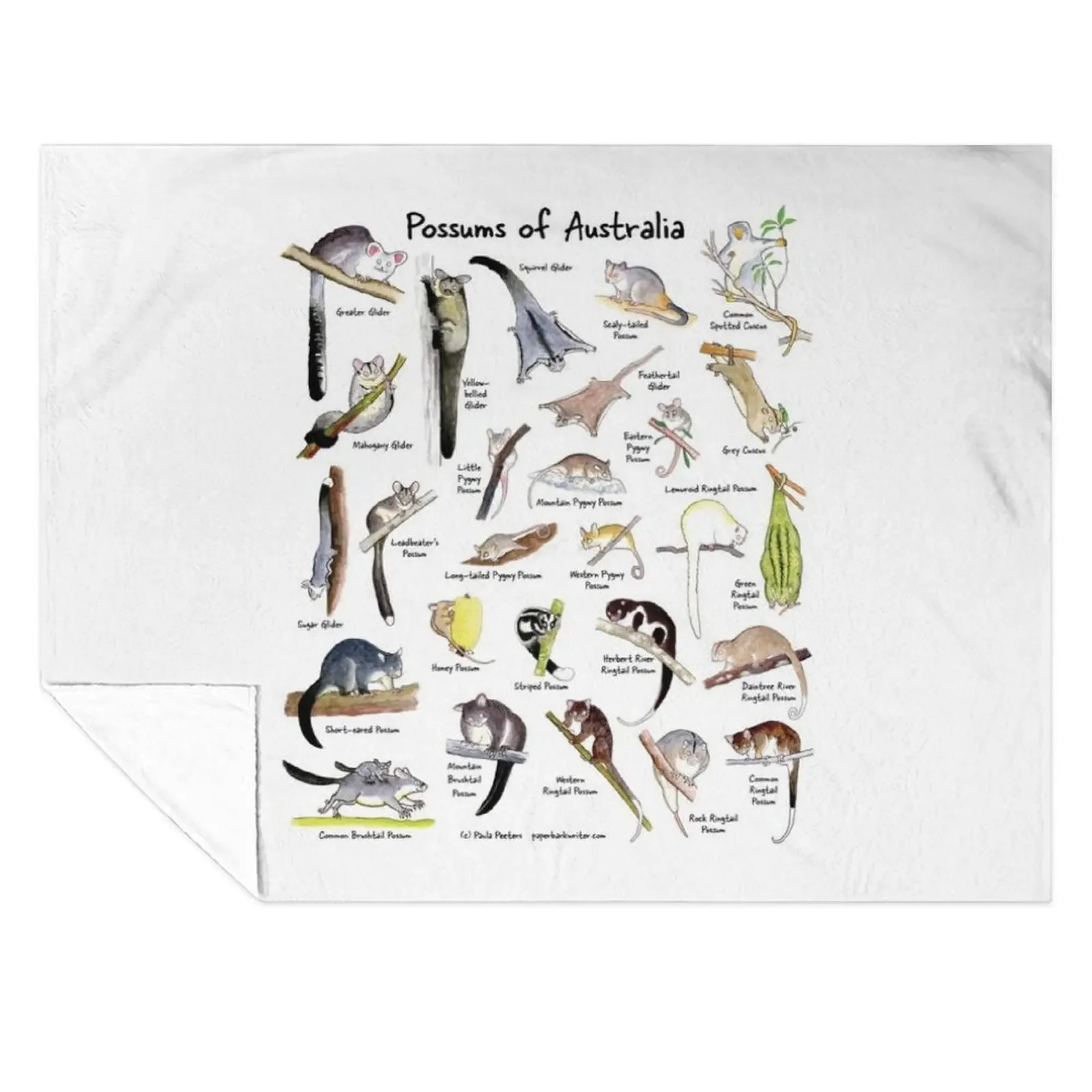

Possums of Australia (with names) Throw Blanket Picnic cosplay anime Thin Camping Blankets