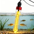 Yellow 5V-12V