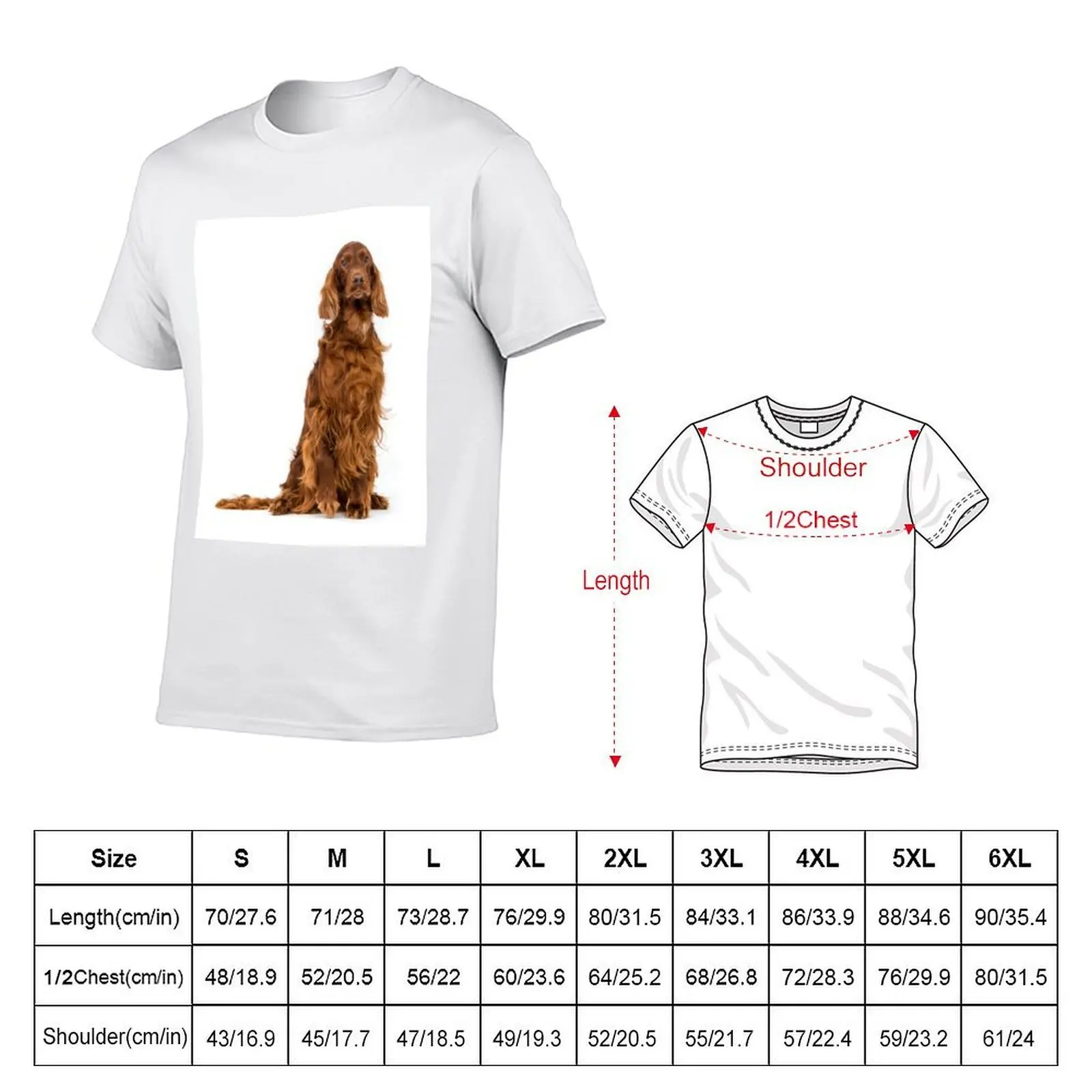 Portrait of Irish Setter sitting T-Shirt man t shirts for men casual t shirts for man cotton t shirt man cotton T-shirt