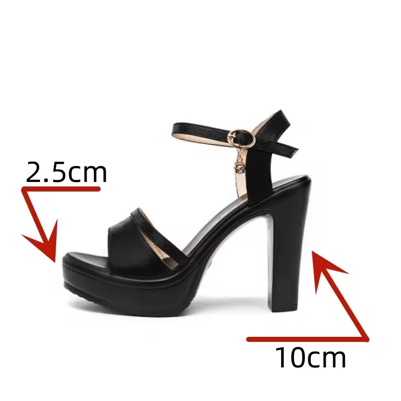 High quality summer sandals for women 10cm high heel new 2024 size 32 33 42 43 platform open toe elegant shoe black sliver red