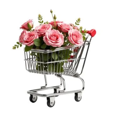 Rina's exclusive shopping link
