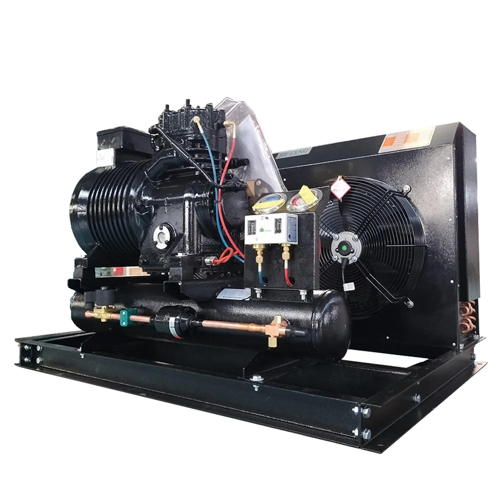 

Reliable 4HP Cooling Assembly Polar Module Scroll Condensing Unit for Supermarket Cold Store