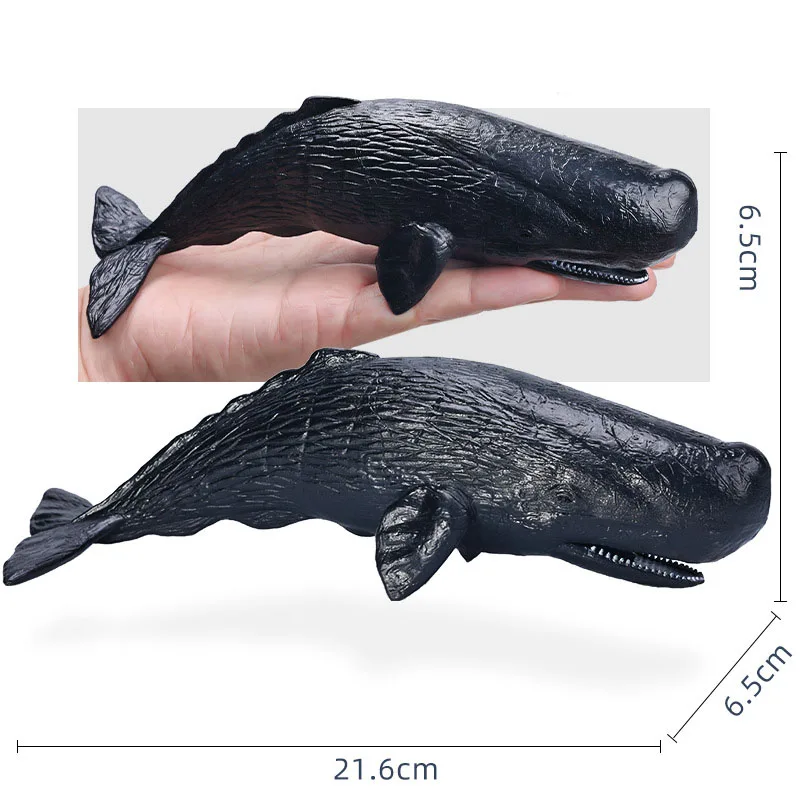 14-22 سنتيمتر المحيط الحيوانات عمل أرقام Sealife القرش Whare Megalodon نماذج التماثيل البلاستيكية ديكور المنزل الاطفال التعليم اللعب هدية