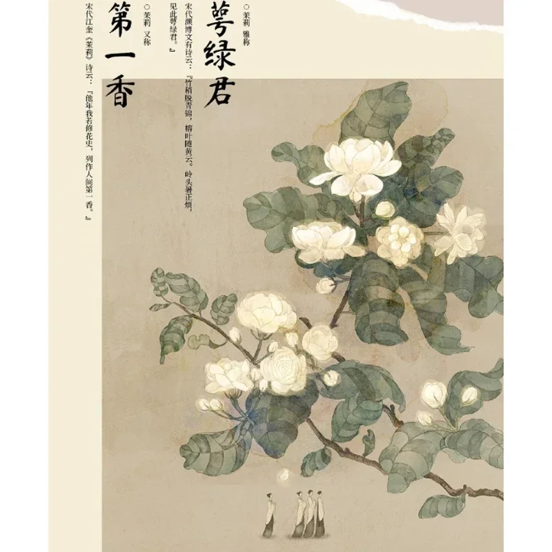 Elegant Names for All Things 200+ Ancient Style Illustrations  Artbook Popular Science History Encyclopedia Dictionary Jinqi