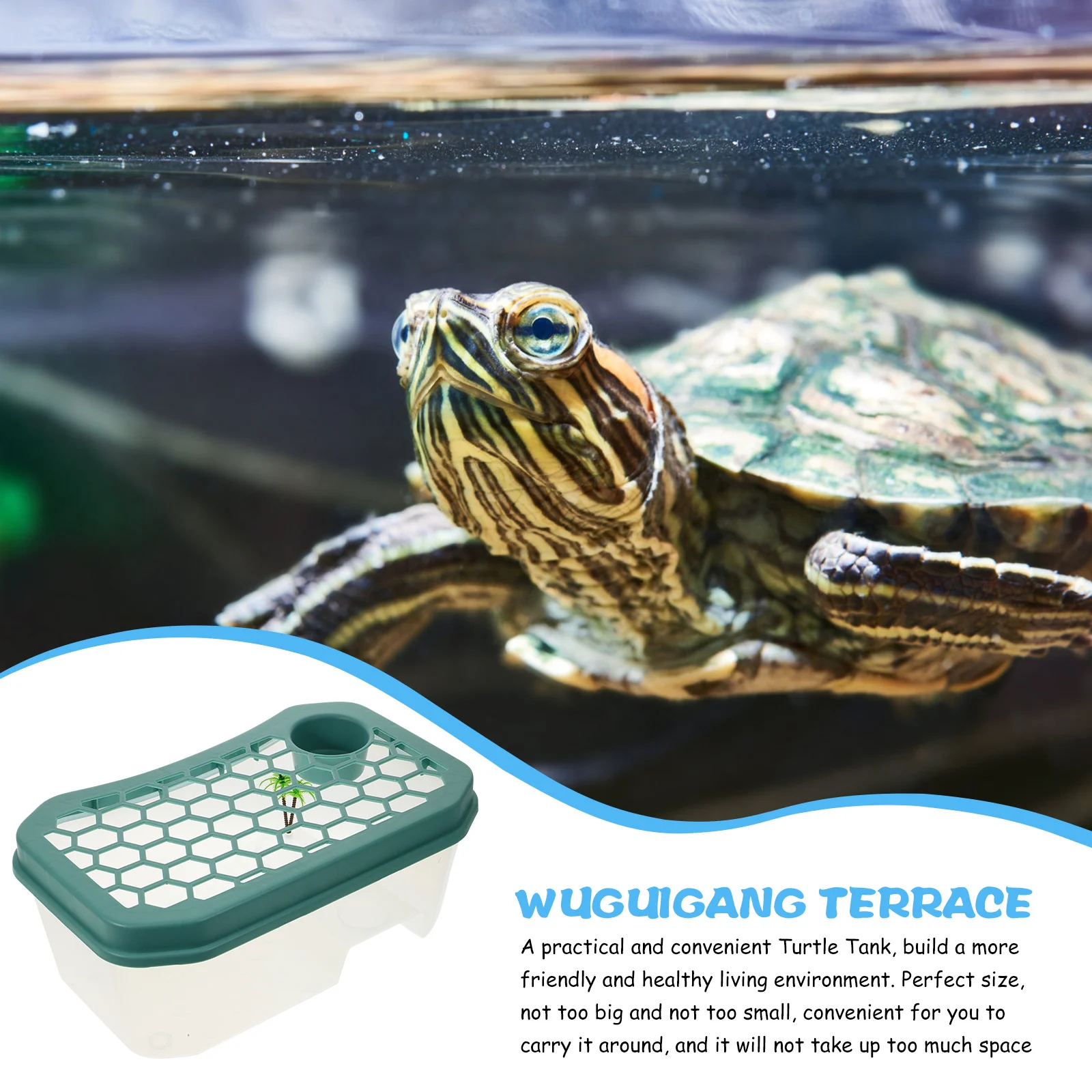 1 مجموعة خزان السلحفاة حوض السمك صندوق كبير تصميم عميق منصة الفرح الزواحف الموئل الملحقات خزان السلحفاة #4