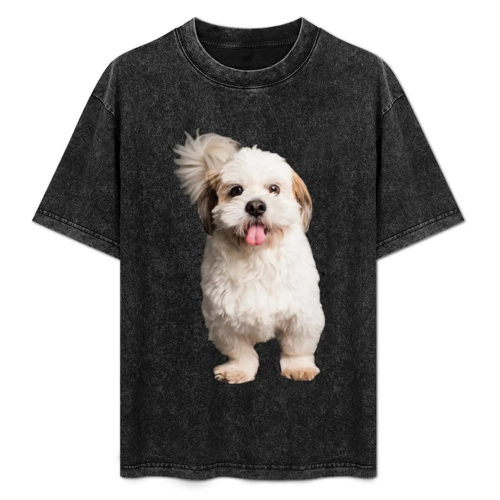 Shichon Mignon, La …